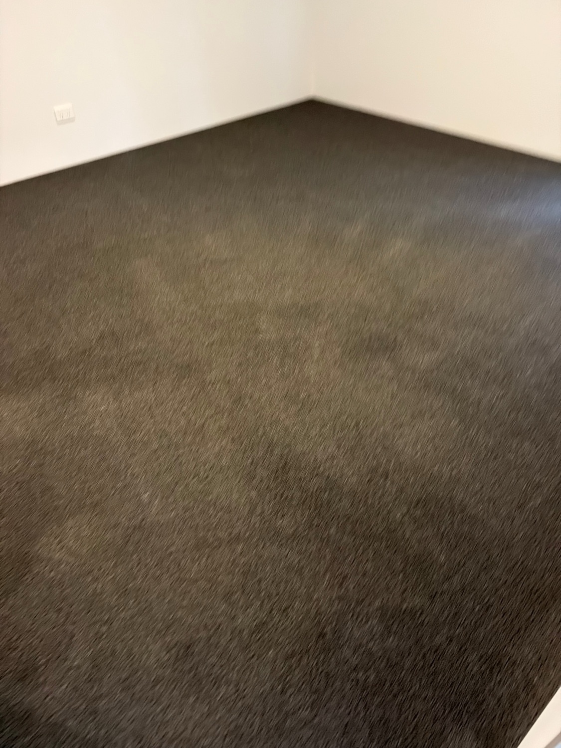 Deep, evenly steam cleaned carpet in a Perth home after hot water extraction